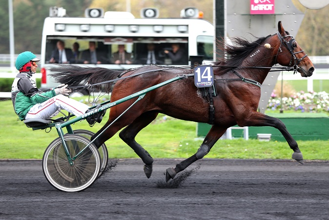 image Prix Djerid : Rocky Winner débute au trot monté