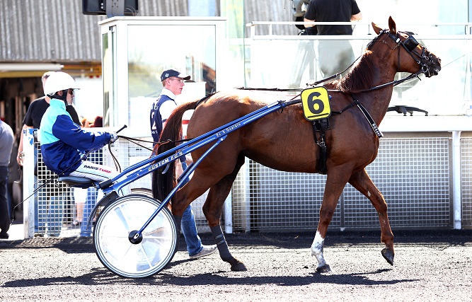 image Grand Prix Anjou-Maine : Roxane Griff en vedette