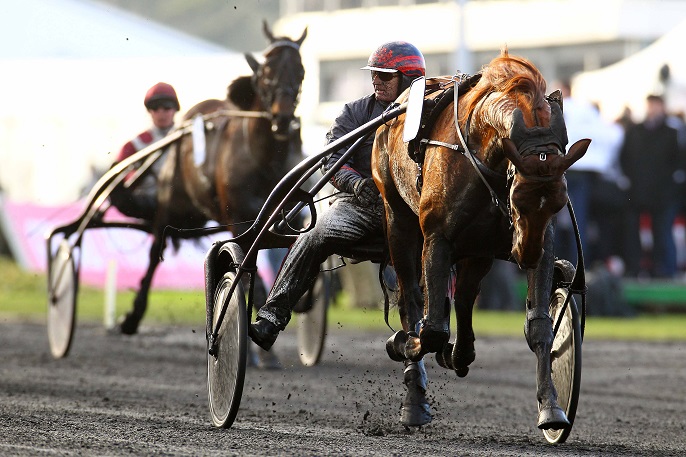 image Prix Kerjacques avec Royal Dream et Timoko