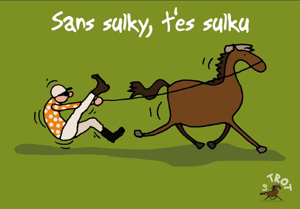 Sans Sulky t'es Sulku by Robert Dutrot