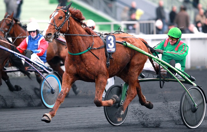 image Prix Hersilie jeudi Ã  Vincennes