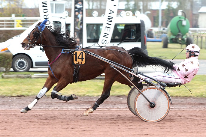 image Swedishman vise le doublÃ© Ã  Marseille-BorÃ©ly