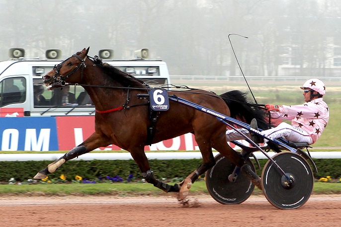 image Swedishman dans le Prix du Bois de Vincennes