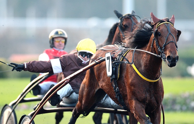 image Prix Yvonnick Bodin et Prix de Bar-le-Duc samedi