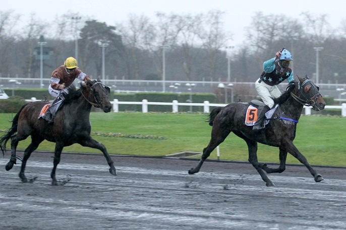 image Roi du Lupin et Pinson dans le Prix du Calvados