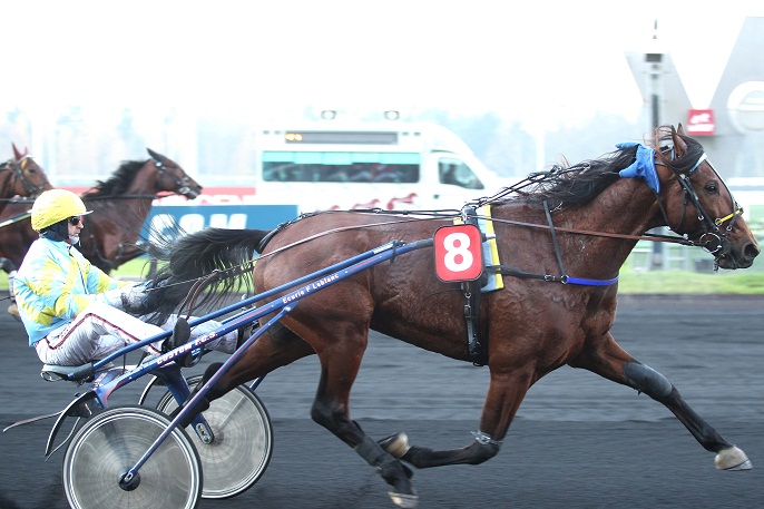 image Jean Dumouch : Tchao de Loiron grand favori