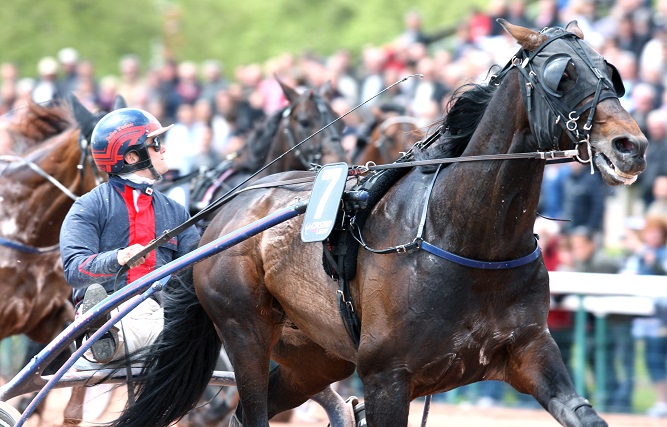 image Texas Charm au dÃ©part du Prix Chambon P