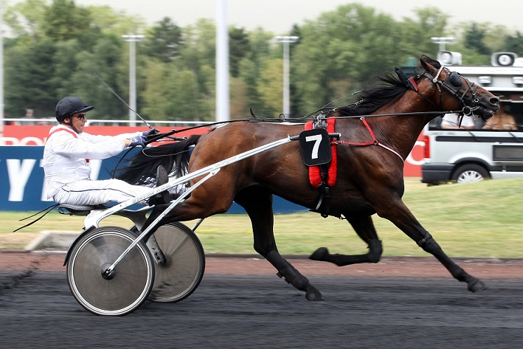 image Prix Jockey : TiÃ©go d'Etang prend date