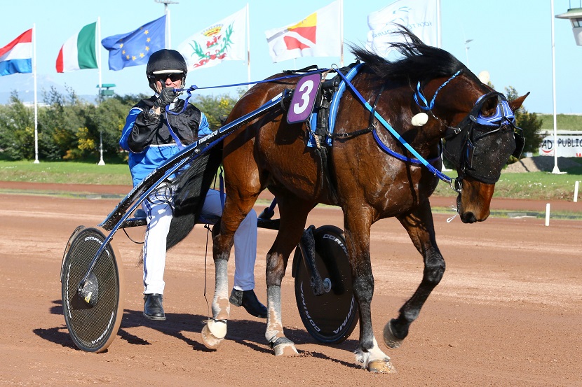 image Elitloppet 2015 : Timoko et Univers de Pan en lice