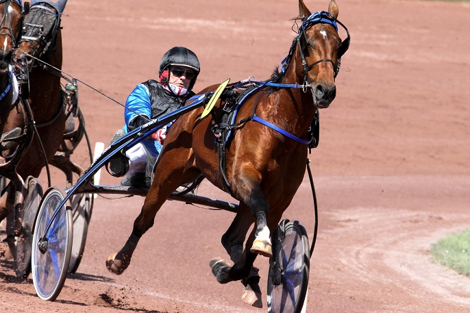 image Washington avec Timoko et Commander Crowe