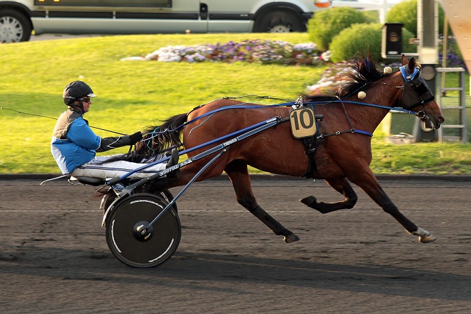 image Timoko s'impose dans le Prix Kerjacques