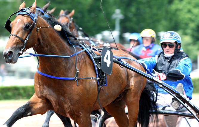 image 36e GP du Sud-Ouest : Incroyable Timoko !