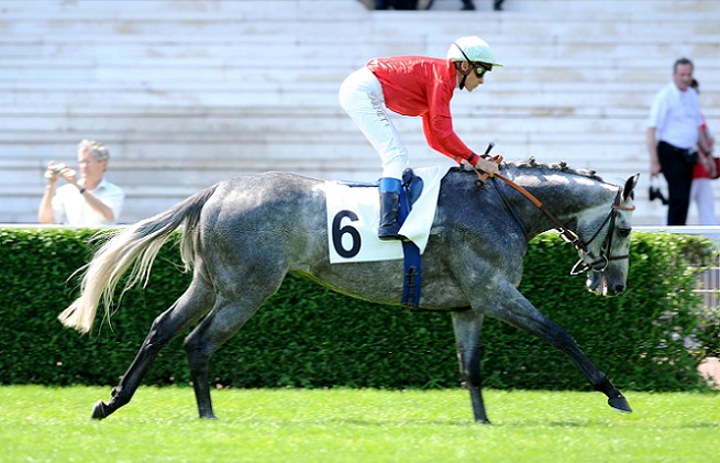 image Maisons-Laffitte : Prix Messidor et de Ris-Orangis