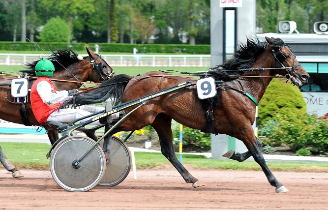 image Tornado Bello dans le Prix de New York 2015