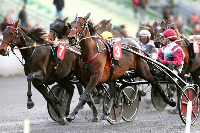 image Noël : Jour J pour Traders et Belina Josselyn