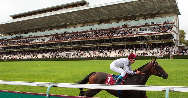 image Les favoris du Prix de l'Arc de Triomphe 2015