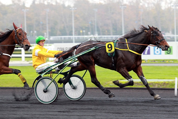 image Uhlan du Val en force, Quarlos sur tapis vert