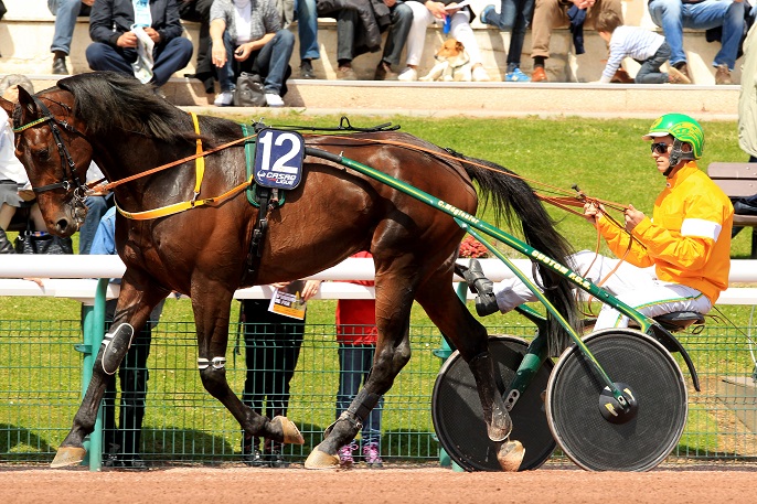 image Uhlan du Val dans le Prix Chambon P