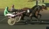 image Vincennes : Prix PhaÃ«ton et Paul Leguerney samedi