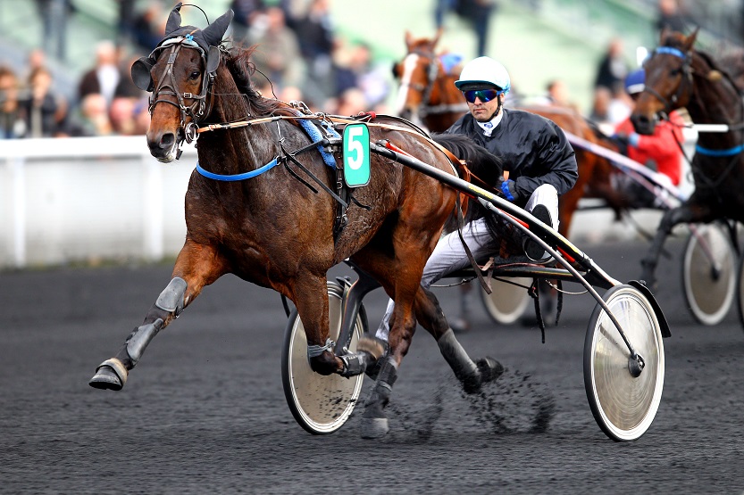 image Ustinof du Vivier, attraction du Prix de Brest