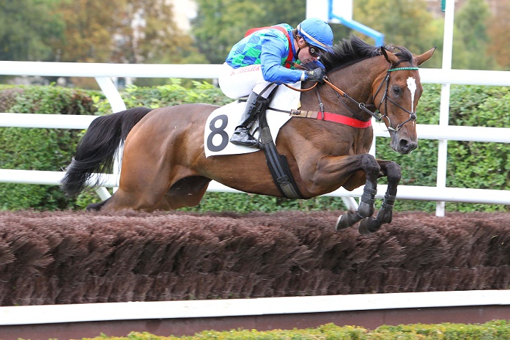 image Auteuil : Usual Suspects de toute une classe