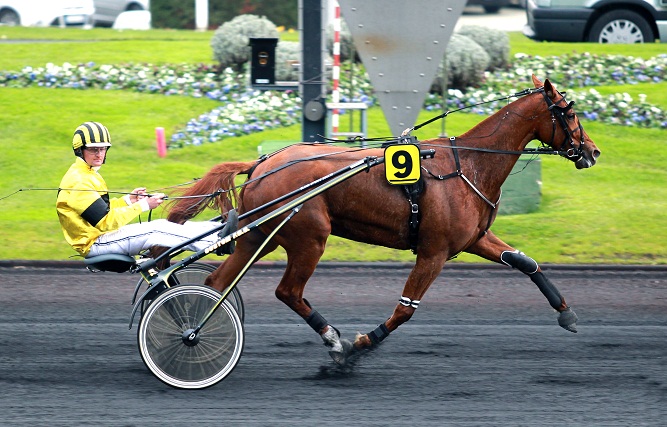 image Vanika du Ruel en piste samedi Ã  Vincennes