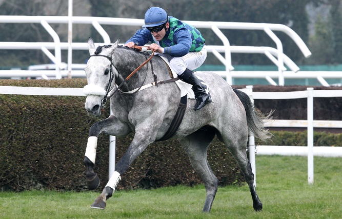 image Prix Jean Stern et Amadou samedi Ã  Auteuil