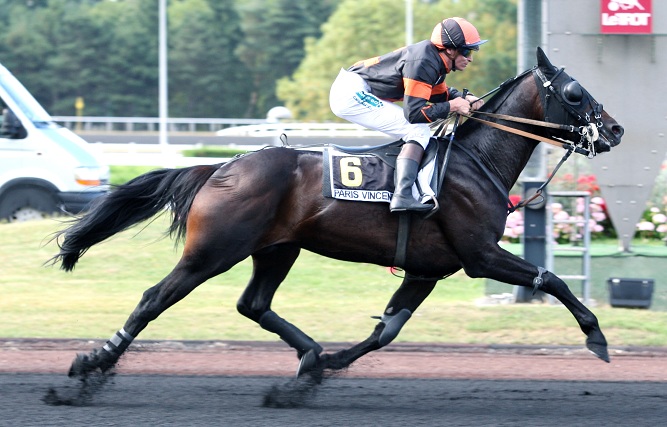 image Vincennes : En marge du Prix d'EtÃ©...