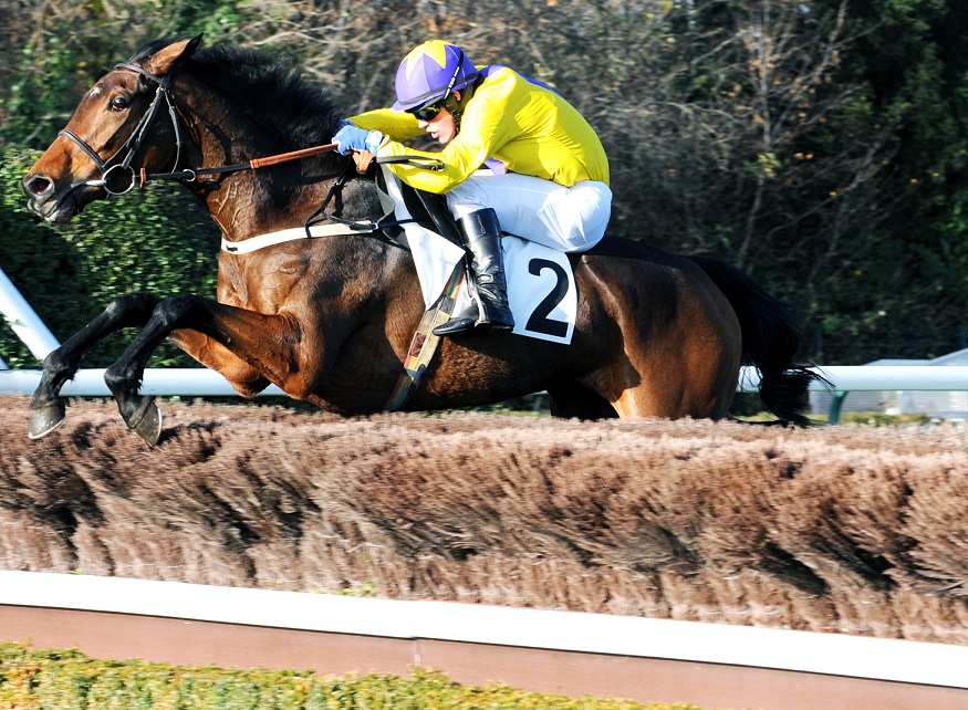 image Prix d'Indy et Prix Troytown dimanche Ã  Auteuil