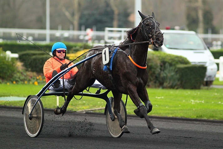 image Prix du Forez : Viking Blue pour la passe de 10