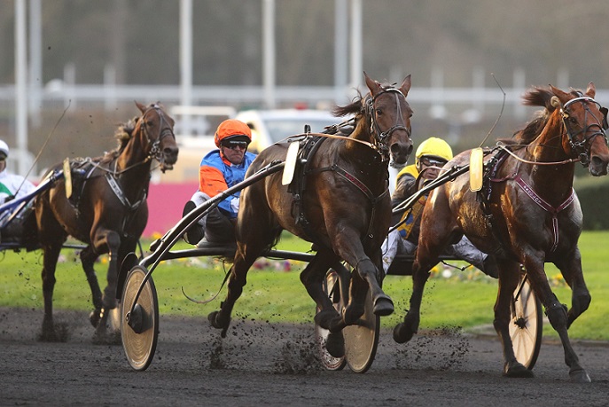 image Bar-le-Duc : Tout va bien pour Viking Va Bene