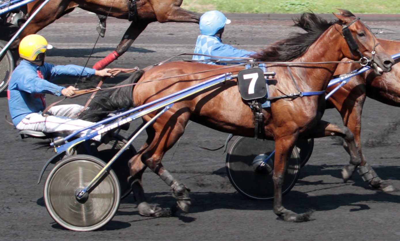 image Prix de Boissy-Saint-LÃ©ger avec Viva Island