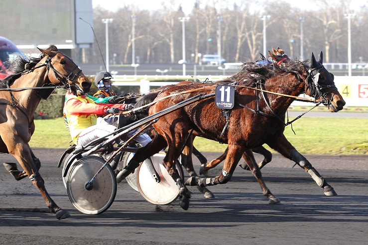 image Vive Daidou et Tango Quick vainqueurs